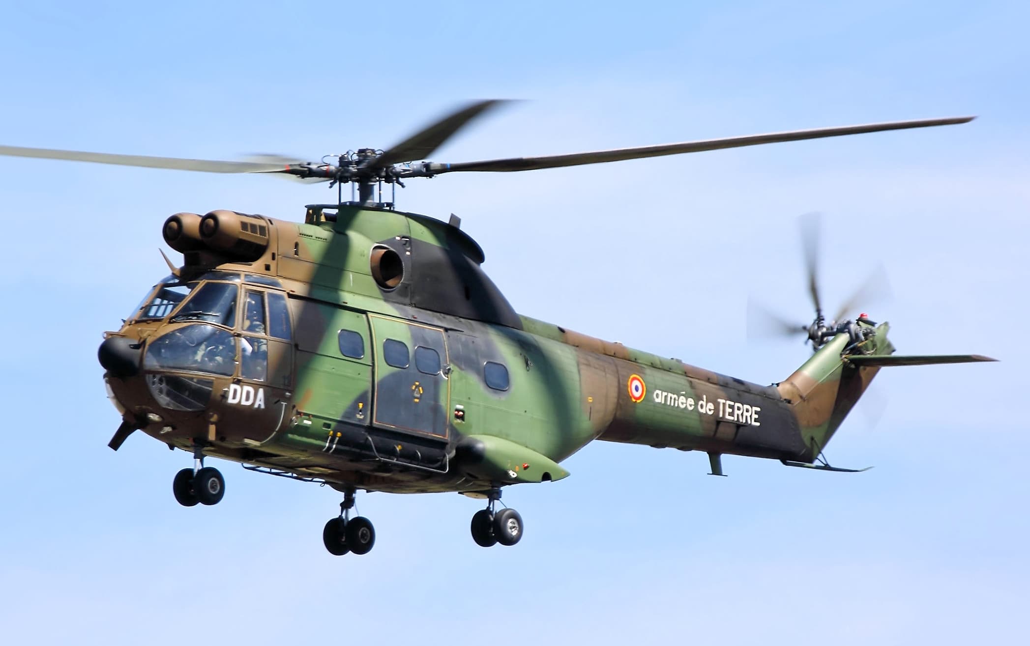 Puma SA 330